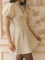 Load image into Gallery viewer, Elegant Polka Dot Puff Sleeve A-Line Dress Women N6E148