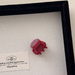 Load image into Gallery viewer, Mini Princess Acetate Hair Clip Women S5P904