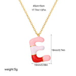 Load image into Gallery viewer, Alphabet Enamel Capsule Necklace Steel Gradient Color S5P234