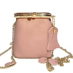 Load image into Gallery viewer, Mini Crossbody Lipstick Purse with Chain Women N6B193