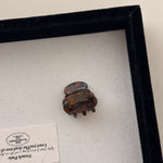 Load image into Gallery viewer, Mini Princess Acetate Hair Clip Women S5P904