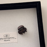 Load image into Gallery viewer, Mini Princess Acetate Hair Clip Women S5P904