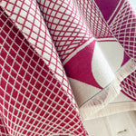 Load image into Gallery viewer, Abstract Begonia Color Block Imitation Cashmere Scarf N6H240