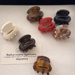 Load image into Gallery viewer, Mini Princess Acetate Hair Clip Women S5P904