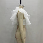 Load image into Gallery viewer, High Neck Lace Mesh Crop Top Women Sheer Layering N5A763