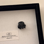 Load image into Gallery viewer, Mini Princess Acetate Hair Clip Women S5P904