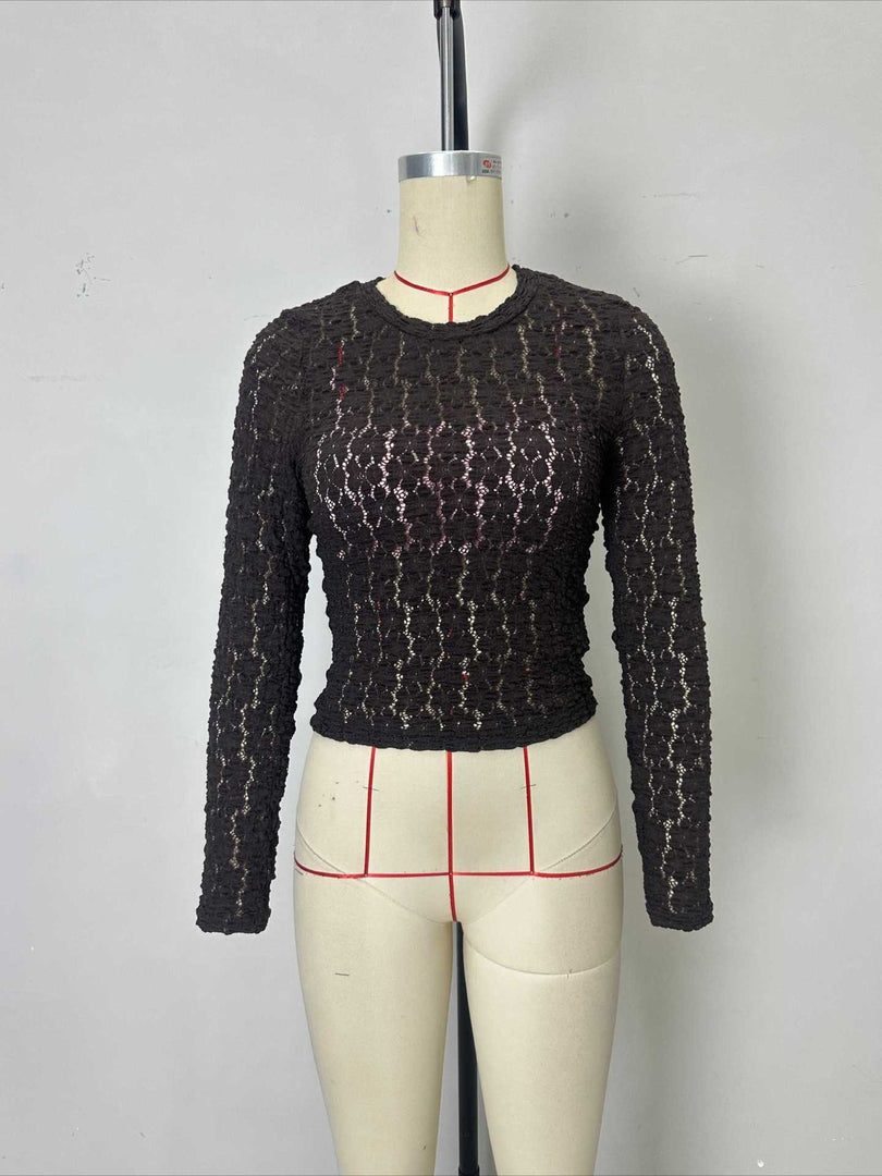 Brown Lace Long Sleeve Slim Fit Top N6F224