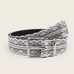 Load image into Gallery viewer, Lace Belt Women Fashion Decorative PU Needle Buckle N6H334