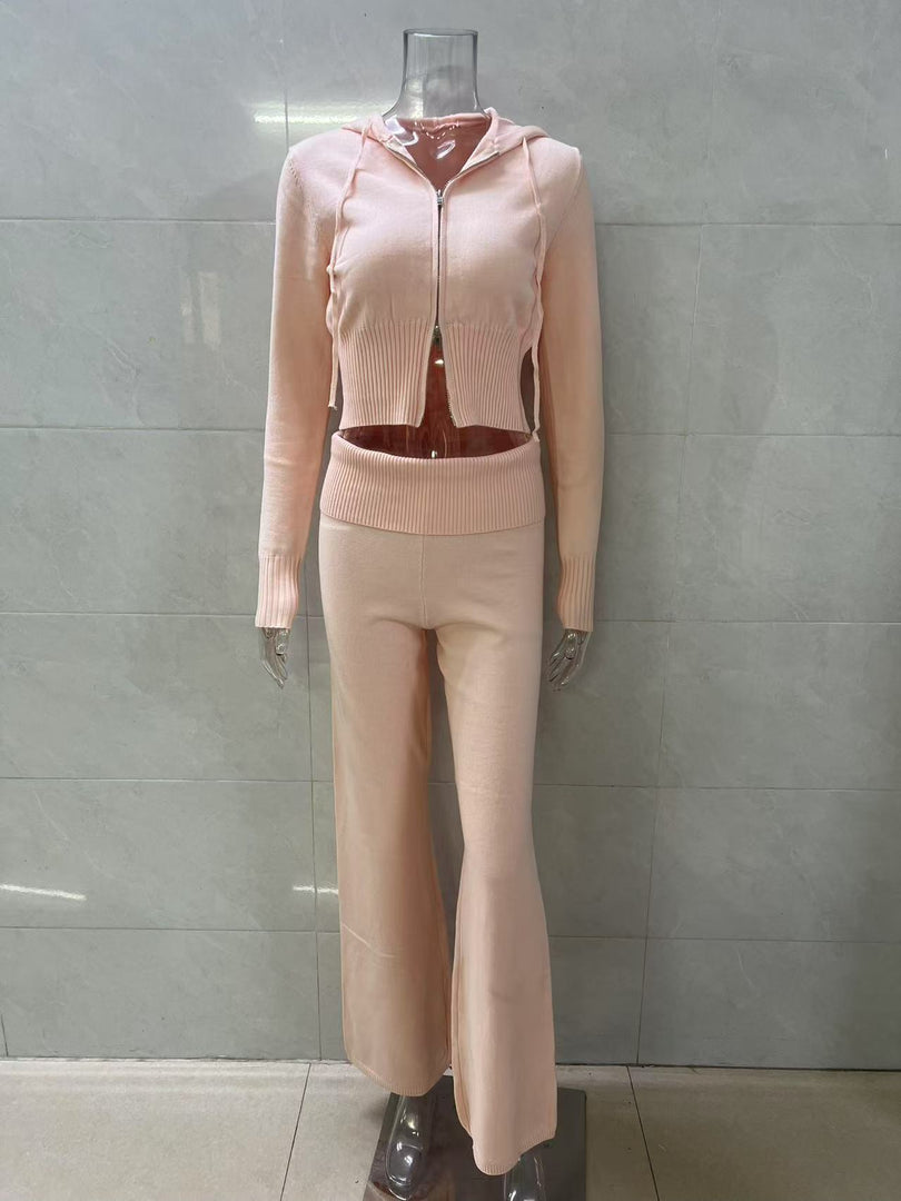 Hooded Zip-Up Sweatshirt and Pants Set Women N6D078
