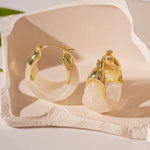Load image into Gallery viewer, Resin Hoop Earrings Vintage U Shape Geometric Drip N6F078