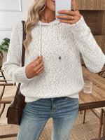 Load image into Gallery viewer, Loose Hooded Chenille Knit Sweater Women Soft Warm N6H266