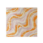 Load image into Gallery viewer, Cotton Linen Square Scarf Women Decorative Neck Wrap N6H118