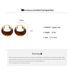 Load image into Gallery viewer, Resin Hoop Earrings Vintage U Shape Geometric Drip N6F078