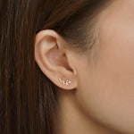 Load image into Gallery viewer, Star Prong-Set Studs S925 Rhodium-Plated Sparkling S5P138