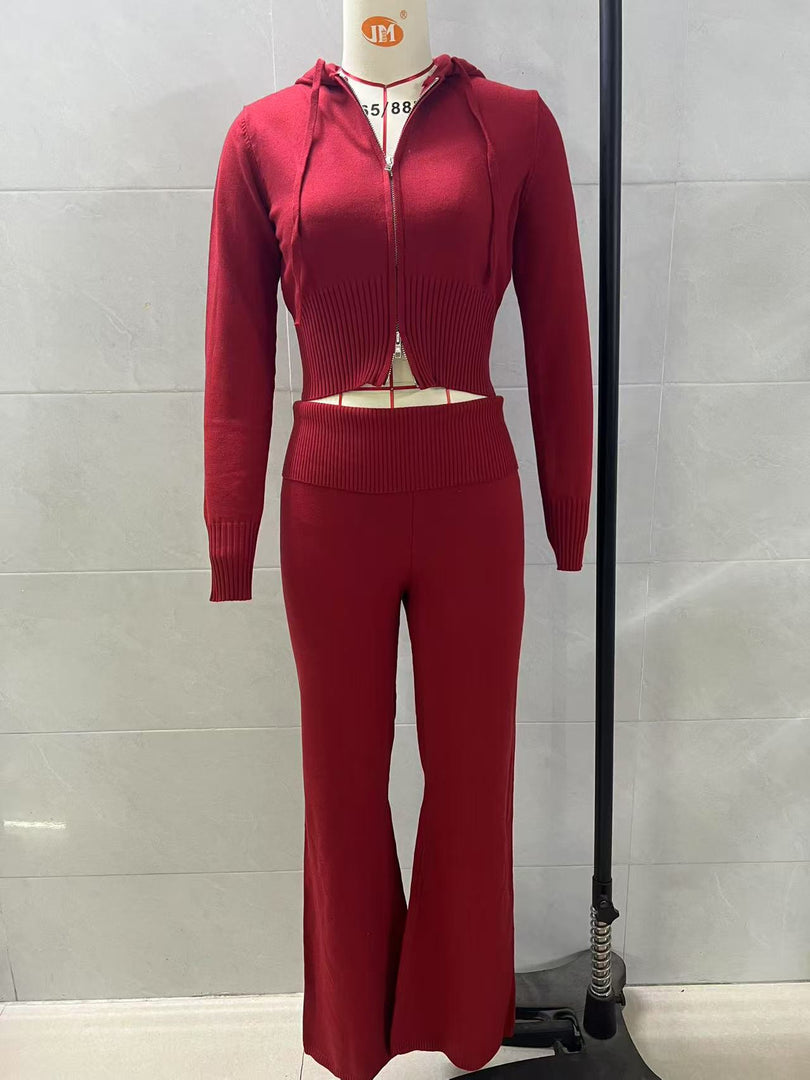 Hooded Zip-Up Sweatshirt and Pants Set Women N6D078