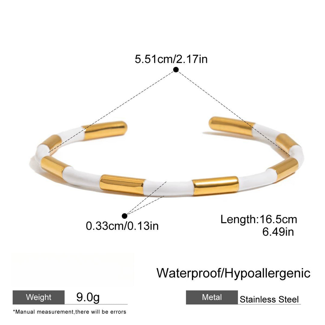 Steel Fadeproof Plated Bangle Mirror Finish S5P198