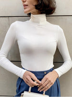 Load image into Gallery viewer, High Neck Knit Base Layer Top Women Slim Fit N6H320