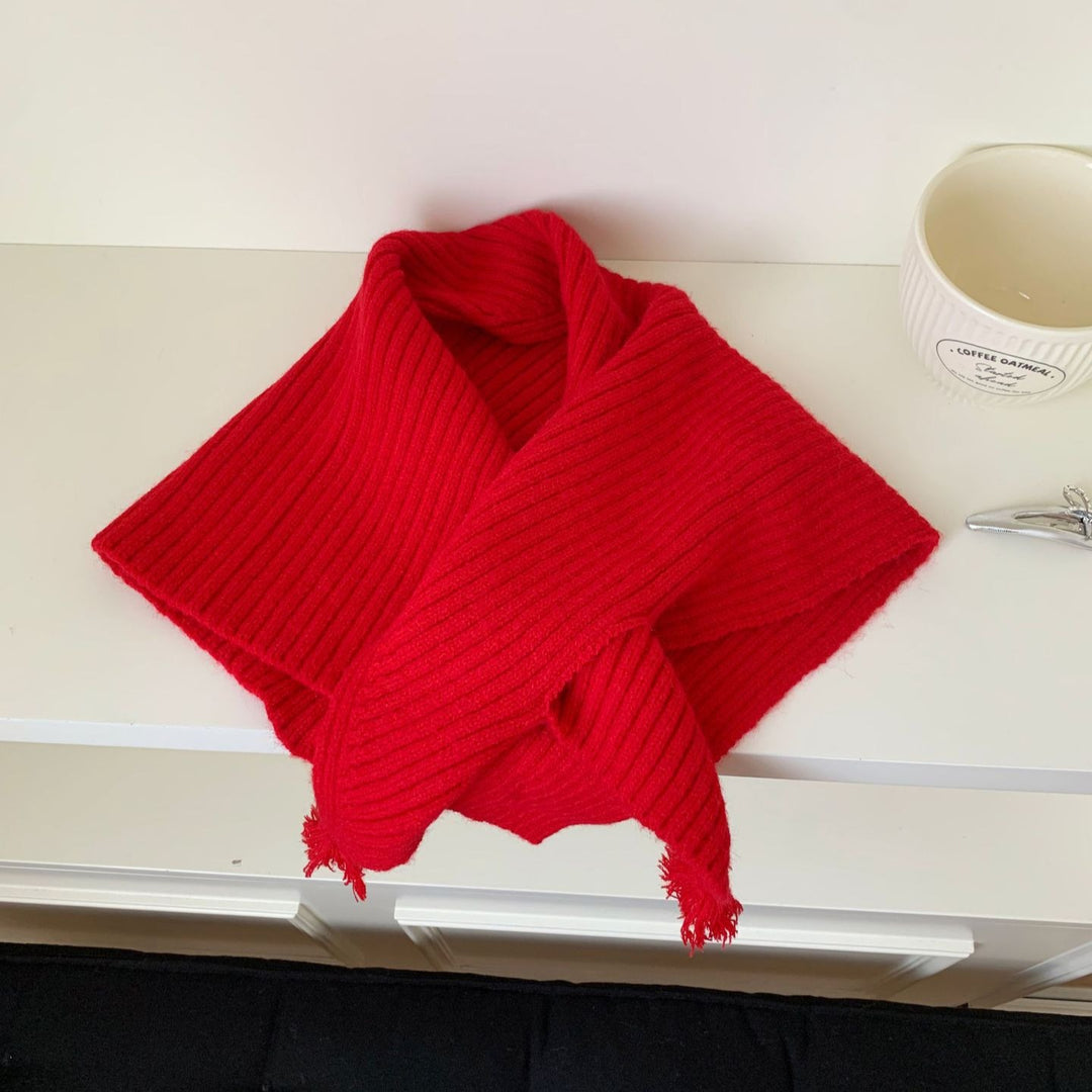 Fringe Knit Shawl Neck Warmer Triangle Cape Women N6H309
