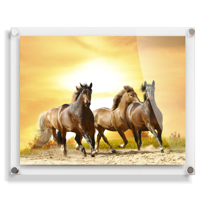20x16 acrylic wall frame