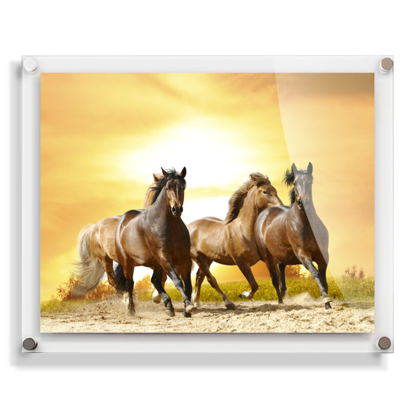 20x16 acrylic wall frame