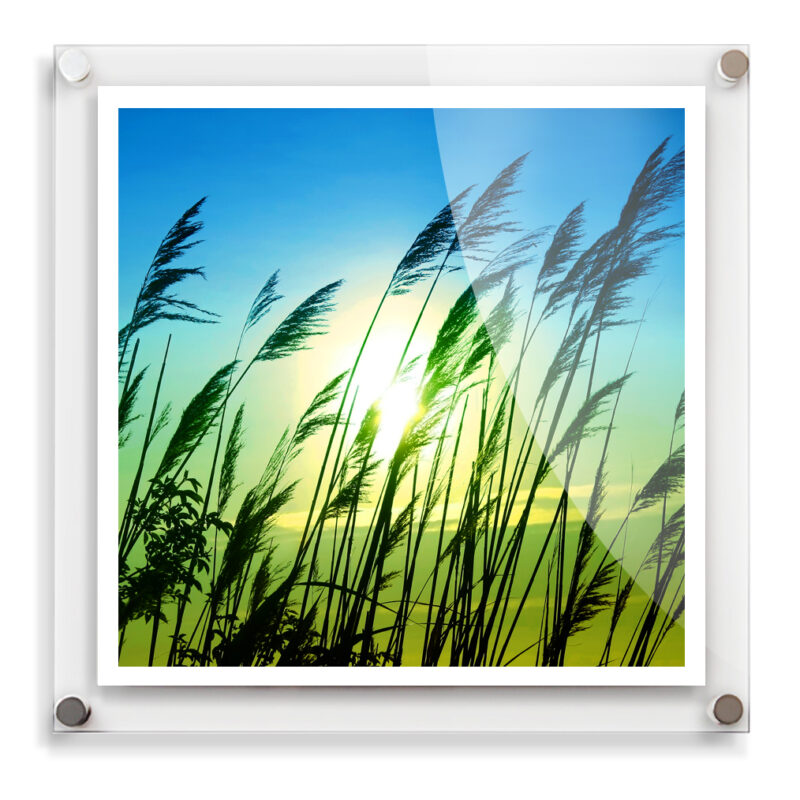 20x20 acrylic wall frame