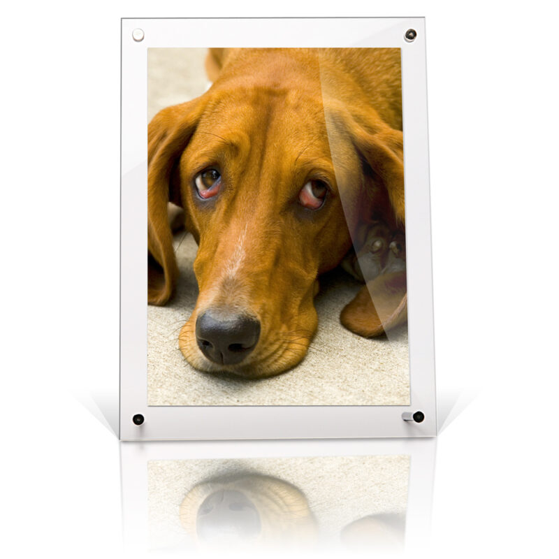 A5 acrylic desktop free standing frame
