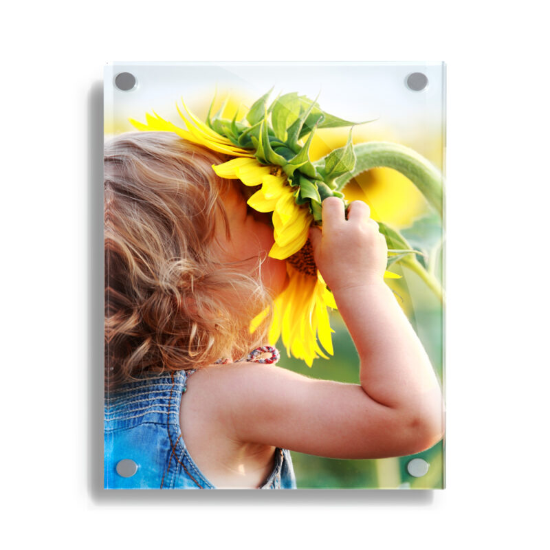 10x8 acrylic wall print