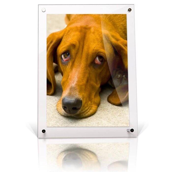 A2 Acrylic Frame